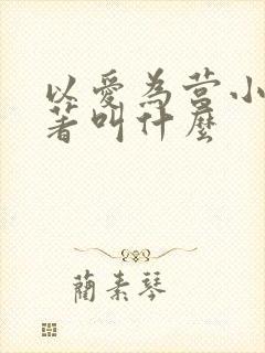 以爱为营小说原著叫什么