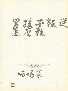 男孩子叛逆期,怎么教