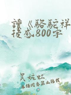 读《骆驼祥子》后感800字