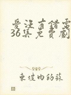 爱没有错电视剧36集免费剧情