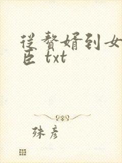 从赘婿到女帝宠臣 txt