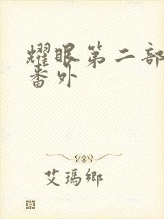 耀眼第二部婚后番外