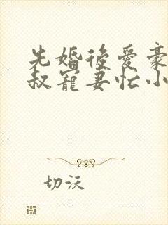 先婚后爱豪门大叔宠妻忙小说