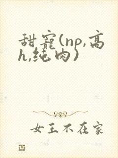 甜宠(np,高h,纯肉)