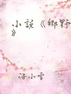 小说《乡野傻医》