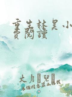 重生林昊小说免费阅读