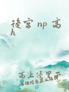 后宫 np 高h