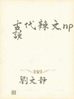 古代辣文np小说