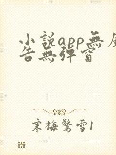 小说app无广告无弹窗