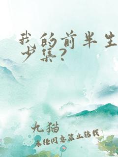 我的前半生共多少集?
