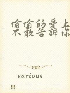 偷偷的爱上你却不敢告诉你是什么歌