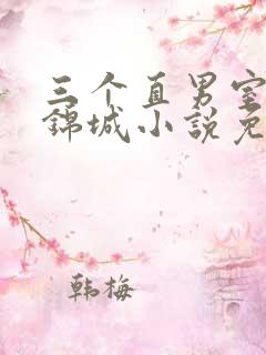 三个直男室友赵锦城小说免费阅读