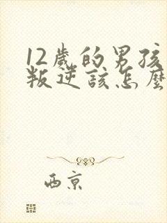 12岁的男孩子叛逆该怎么处理