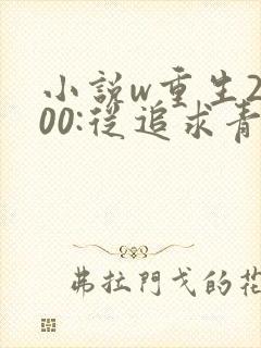 小说w重生2000:从追求青涩校花同桌开始》