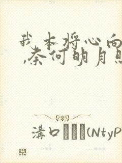 我本将心向明月 ,奈何明月照沟渠