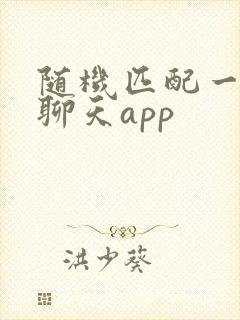 随机匹配一对一聊天app