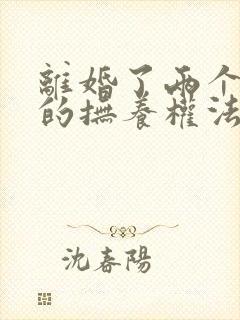 离婚了两个孩子的抚养权法律怎么判?