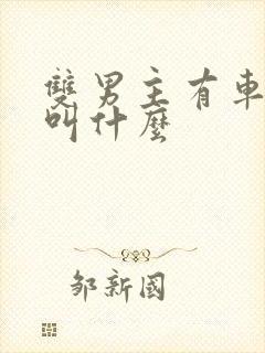 双男主有车动漫叫什么