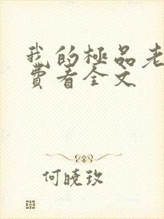 我的极品老婆免费看全文