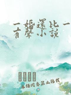 一婚还比一婚高有声小说