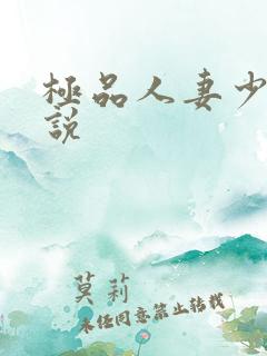 极品人妻少妇小说