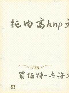 纯肉高hnp文