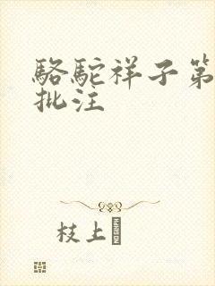 骆驼祥子第9章批注