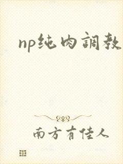 np纯肉调教文