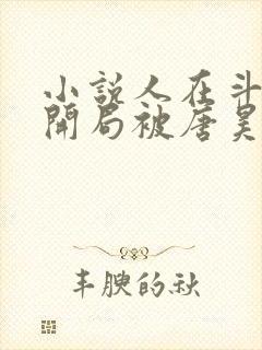 小说人在斗罗,开局被唐昊抛弃