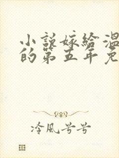 小说嫁给温先生的第五年免费阅读