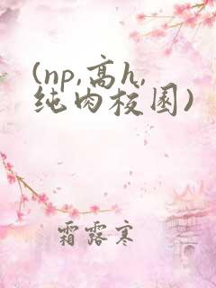 (np,高h,纯肉校园)