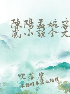 陈阳孟婉容江玉岚小说全文阅读