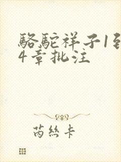 骆驼祥子1到24章批注