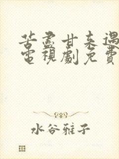 苦尽甘来遇见你电视剧免费观看全集在线播放