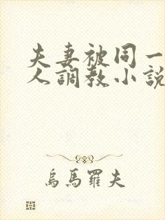 夫妻被同一个主人调教小说