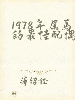 1978年属马的最佳配偶属相