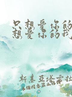 只想爱你的我还想爱你的我是什么歌