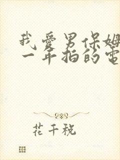 我爱男保姆是哪一年拍的电视剧?