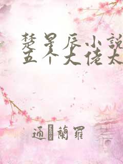 楚星辰小说穿书五个大佬太黏人