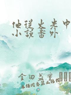 他从火光中走来小说番外