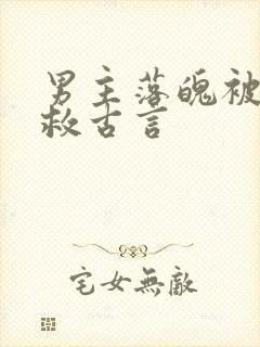 男主落魄被女主救古言