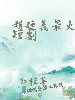 赵廷义最火三部短剧