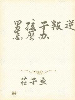 男孩子叛逆期该怎么办