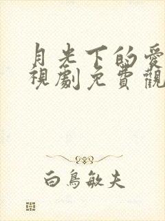 月光下的爱情电视剧免费观看