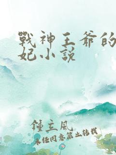 战神王爷的小医妃小说