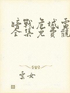 暗战危城电视剧全集免费观看