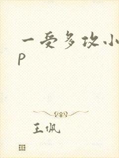 一受多攻小说np
