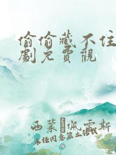 偷偷藏不住电视剧免费观