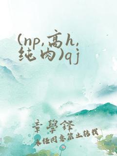 (np,高h,纯肉)qj