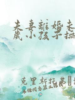 夫妻离婚未满两岁小孩子抚养权归谁